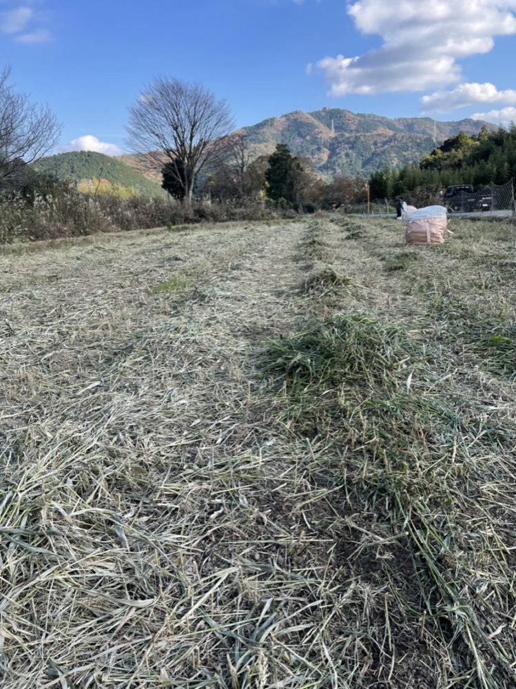 牧草を育てる圃場