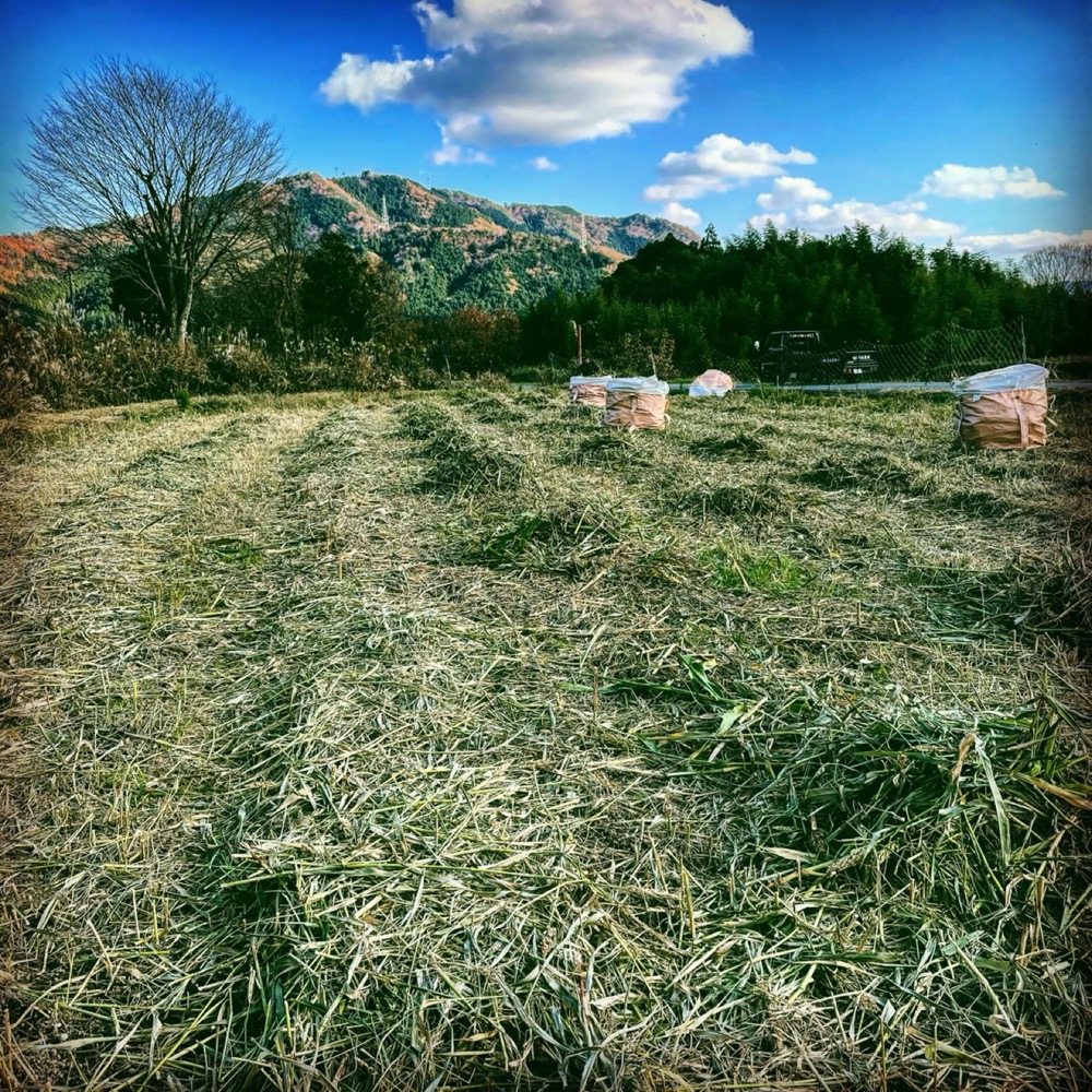 牧草を育てる丹波の圃場