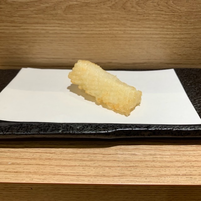 烏賊１P